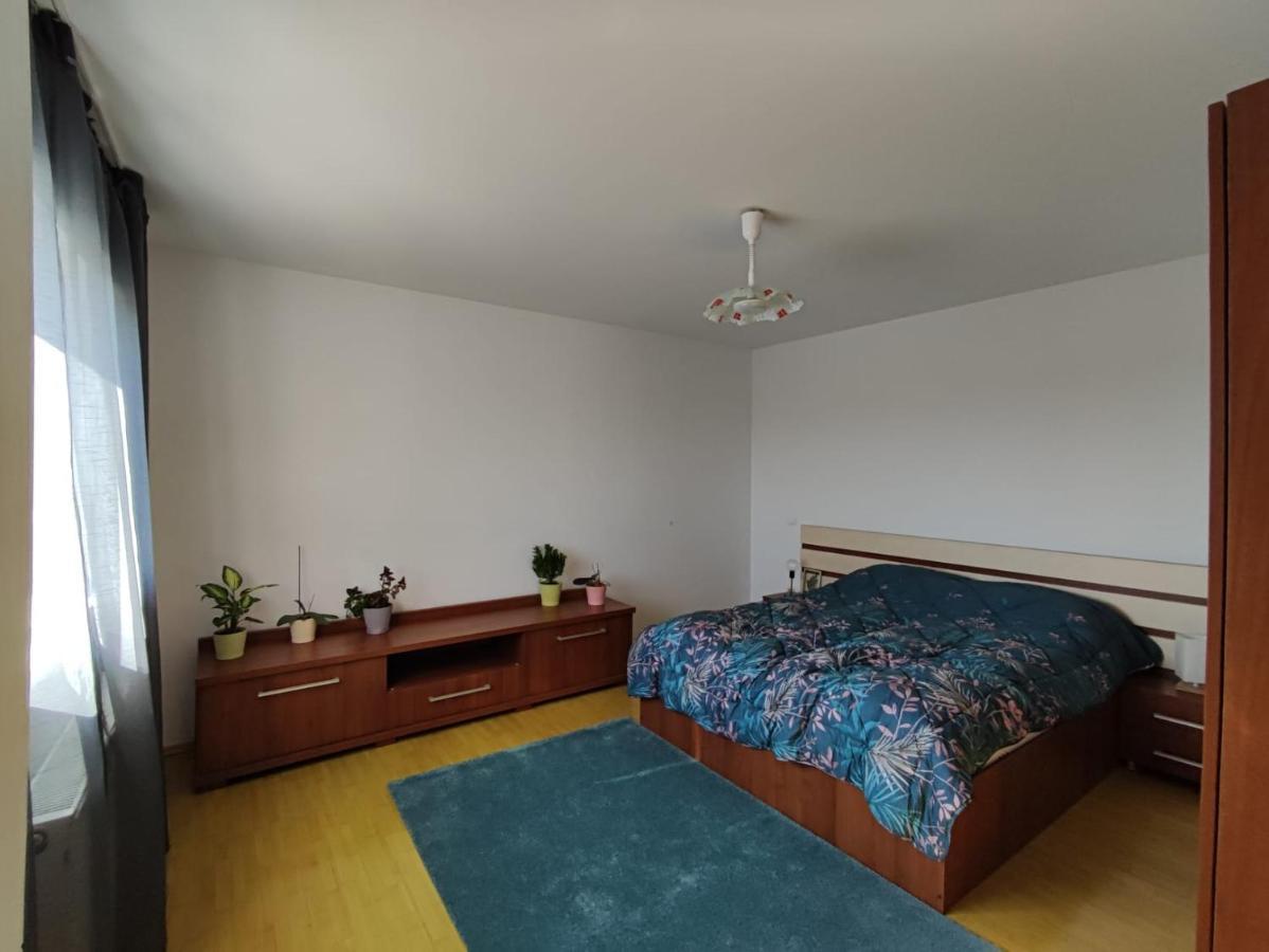 M K L Studio Alba Iulia Zewnętrze zdjęcie